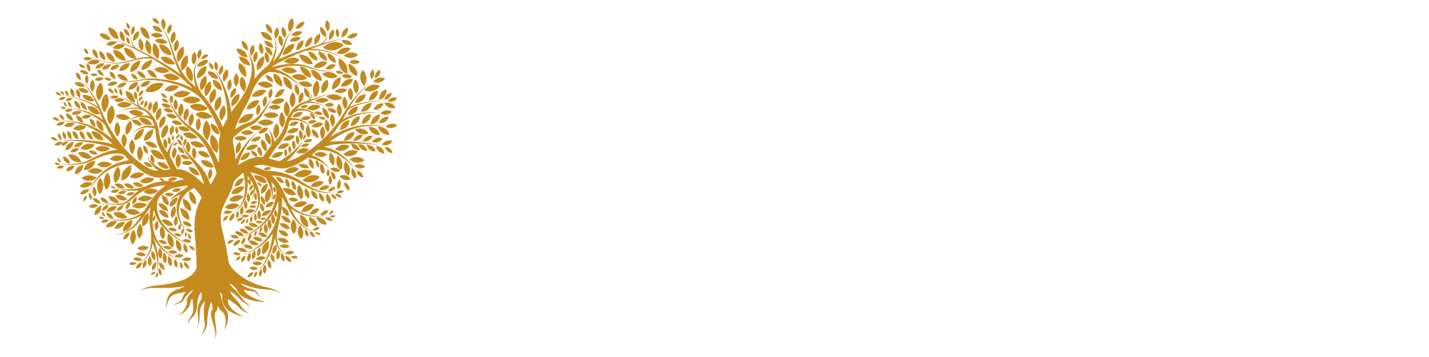 Dream Estates